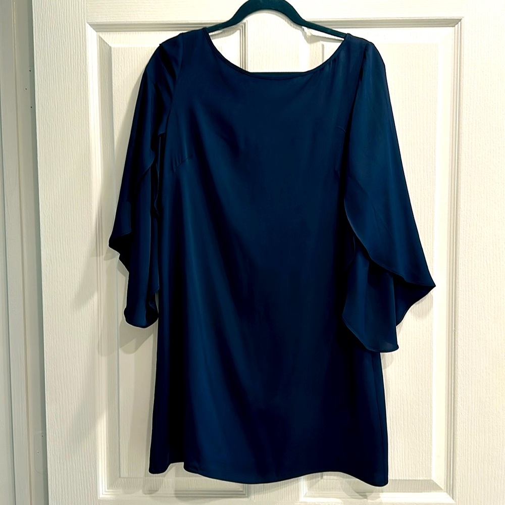 EUC Silk Milly Dress
